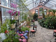 Юг на Севере. Ботанические сады Хельсинки