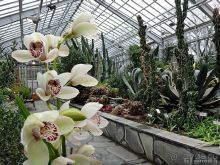 Юг на Севере. Ботанические сады Хельсинки