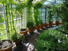 Юг на Севере. Ботанические сады Хельсинки