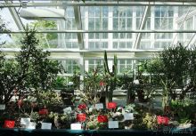 Юг на Севере. Ботанические сады Хельсинки