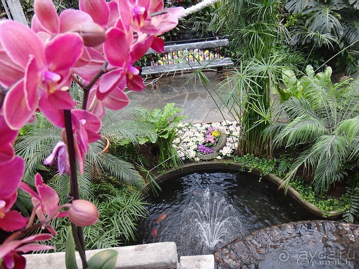 Юг на Севере. Ботанические сады Хельсинки