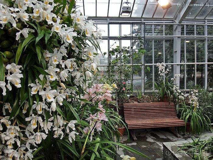 Юг на Севере. Ботанические сады Хельсинки