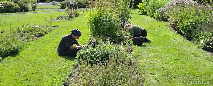 Юг на Севере. Ботанические сады Хельсинки