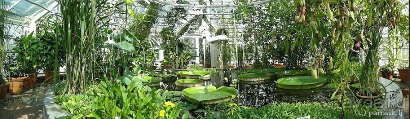 Юг на Севере. Ботанические сады Хельсинки