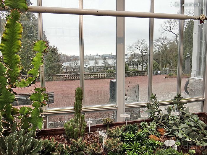 Юг на Севере. Ботанические сады Хельсинки