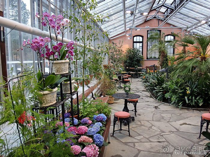 Юг на Севере. Ботанические сады Хельсинки