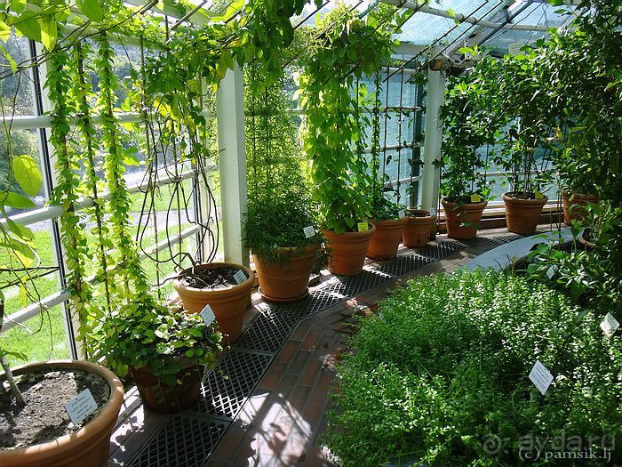 Юг на Севере. Ботанические сады Хельсинки