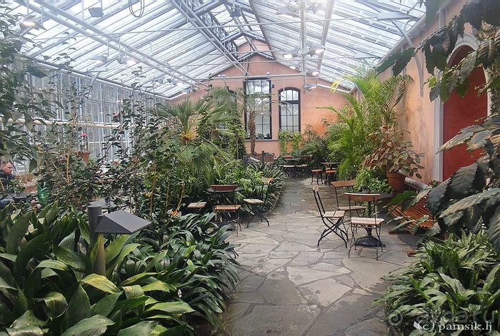 Юг на Севере. Ботанические сады Хельсинки