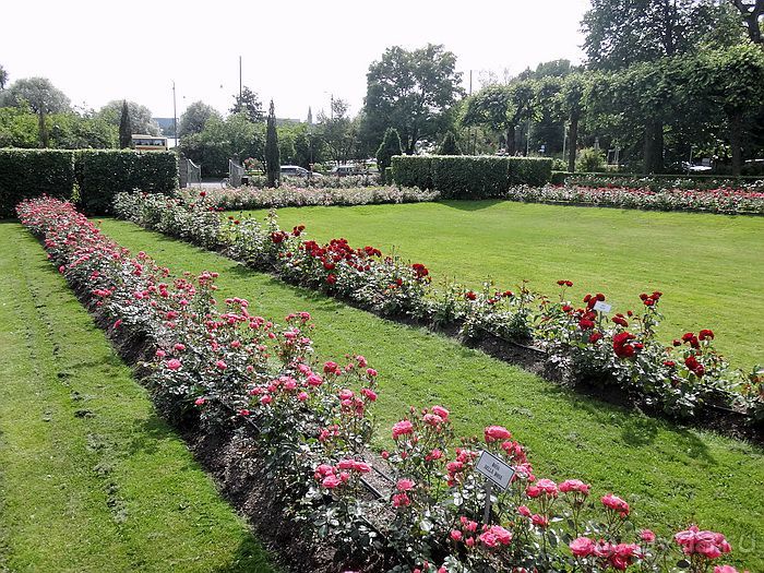 Юг на Севере. Ботанические сады Хельсинки