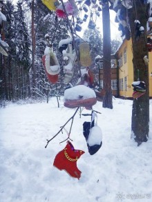 «Розы и шипы» К.И.Чуковского. Дом-музей в Переделкино