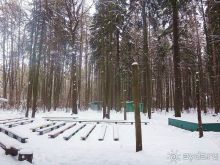 «Розы и шипы» К.И.Чуковского. Дом-музей в Переделкино