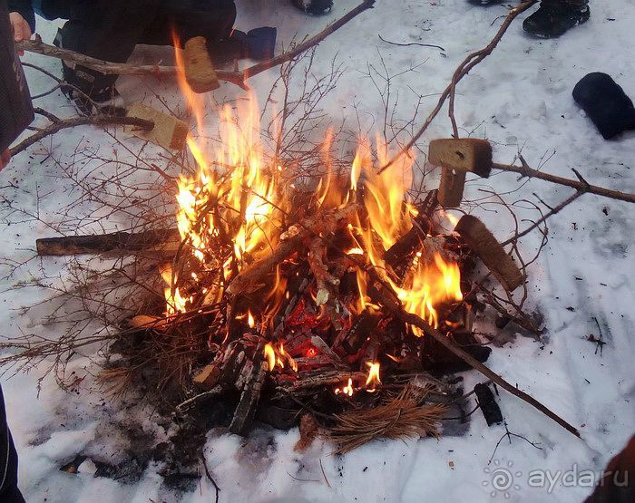 «Розы и шипы» К.И.Чуковского. Дом-музей в Переделкино
