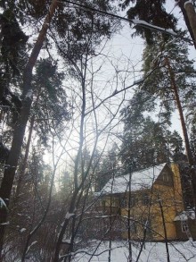 «Розы и шипы» К.И.Чуковского. Дом-музей в Переделкино