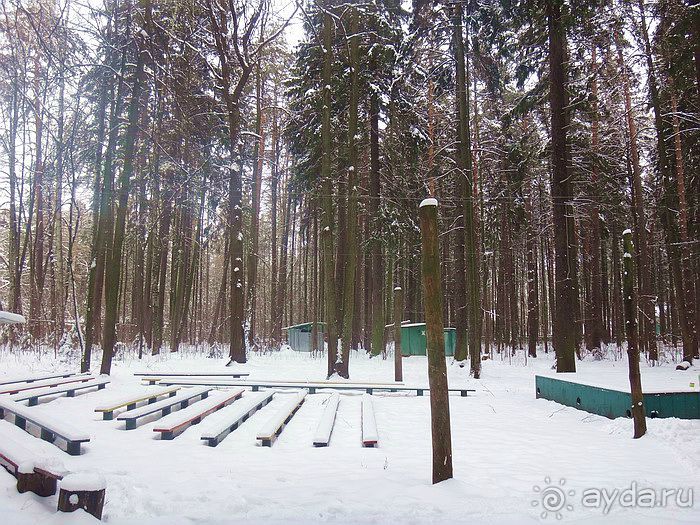 «Розы и шипы» К.И.Чуковского. Дом-музей в Переделкино