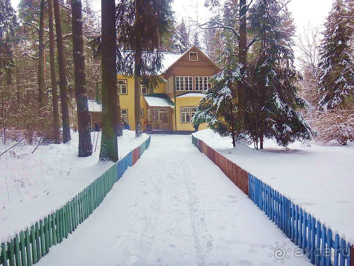 «Розы и шипы» К.И.Чуковского. Дом-музей в Переделкино