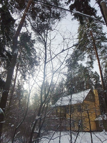 «Розы и шипы» К.И.Чуковского. Дом-музей в Переделкино
