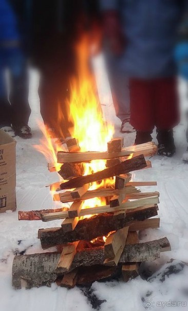 «Розы и шипы» К.И.Чуковского. Дом-музей в Переделкино