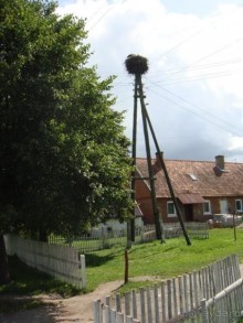 Про аистов и калининградские приколы