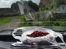 Про аистов и калининградские приколы