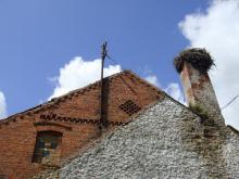 Про аистов и калининградские приколы