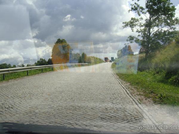 Про аистов и калининградские приколы