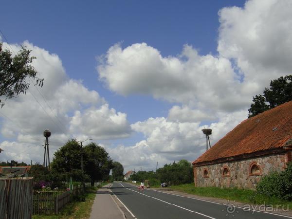 Про аистов и калининградские приколы