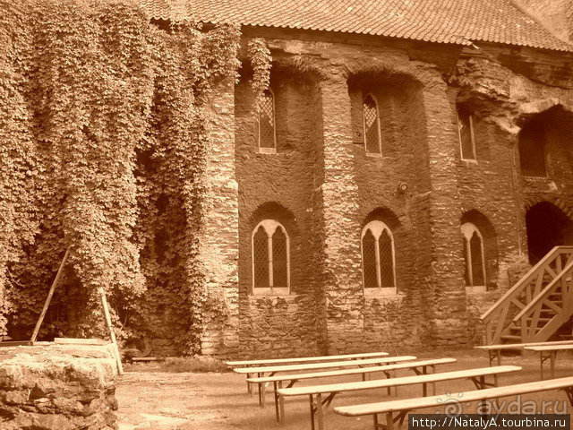 Таллинн. Доминиканский монастырь и музей.