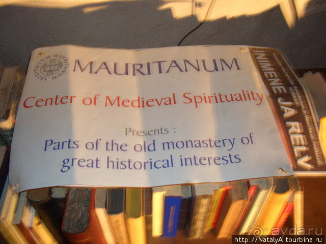 Таллинн. Доминиканский монастырь и музей.