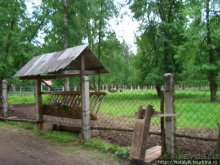 В гостях у Зубров.Приокско-террасный заповедник/1