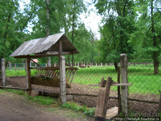 В гостях у Зубров.Приокско-террасный заповедник/1