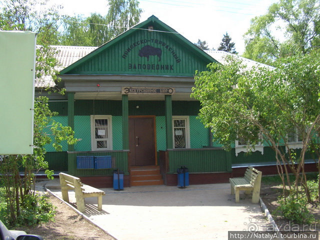 В гостях у Зубров.Приокско-террасный заповедник/1