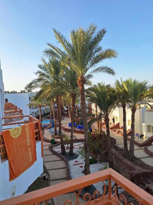 Gafy resort Шарм-эль_шейх