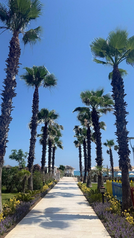 Отдых с приятным сюрпризом…🏝️