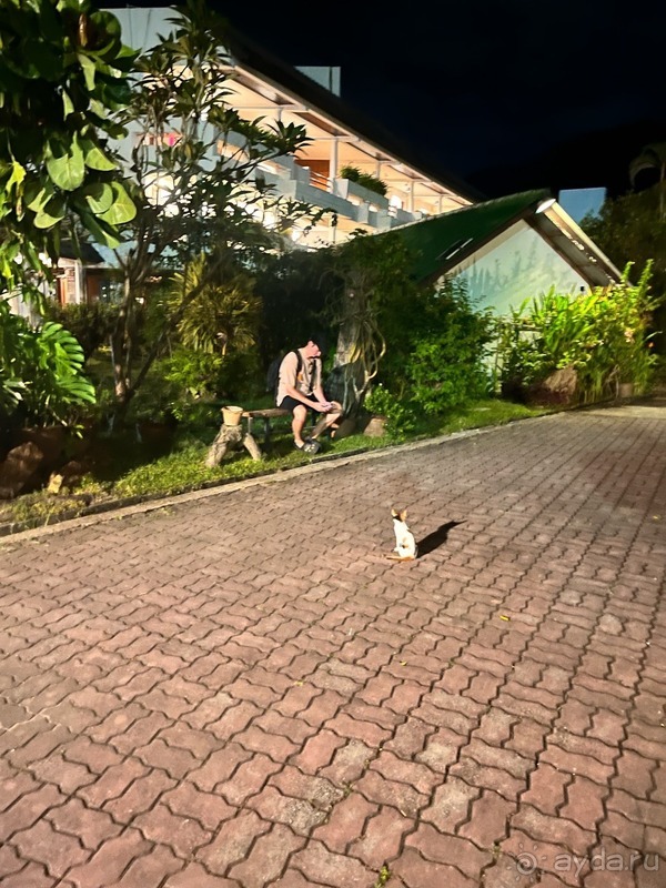 фото Golden Sand Inn Phuket 