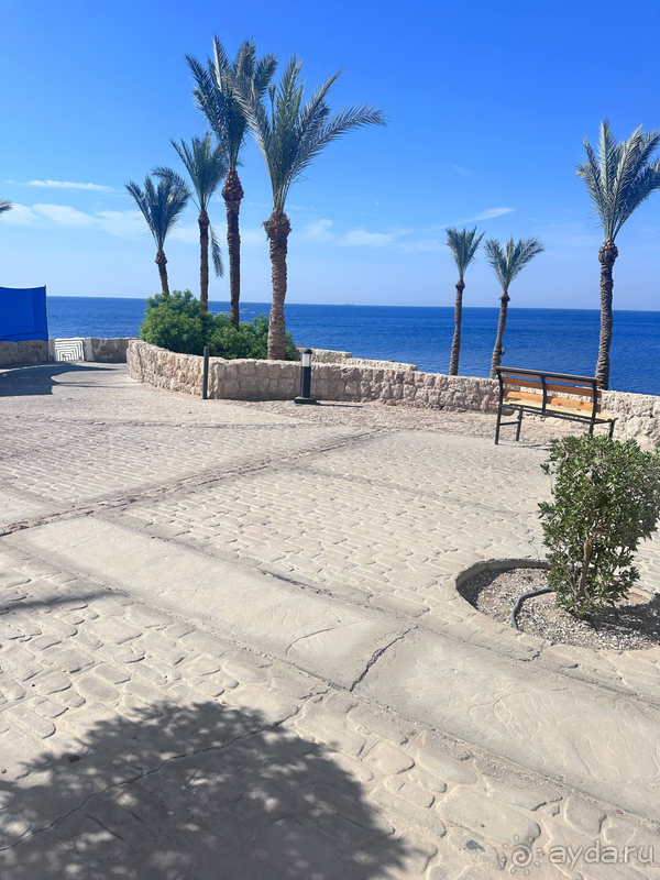 Прекрасный отдых в отеле Sharm Plaza
