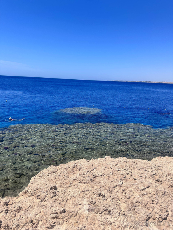 Прекрасный отдых в отеле Sharm Plaza