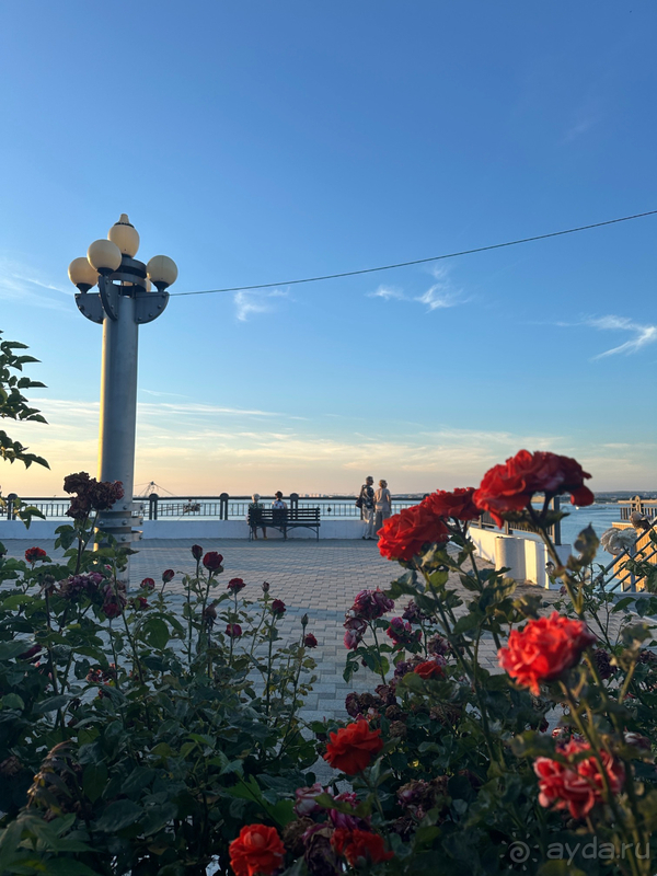 В Анапу на три ночи