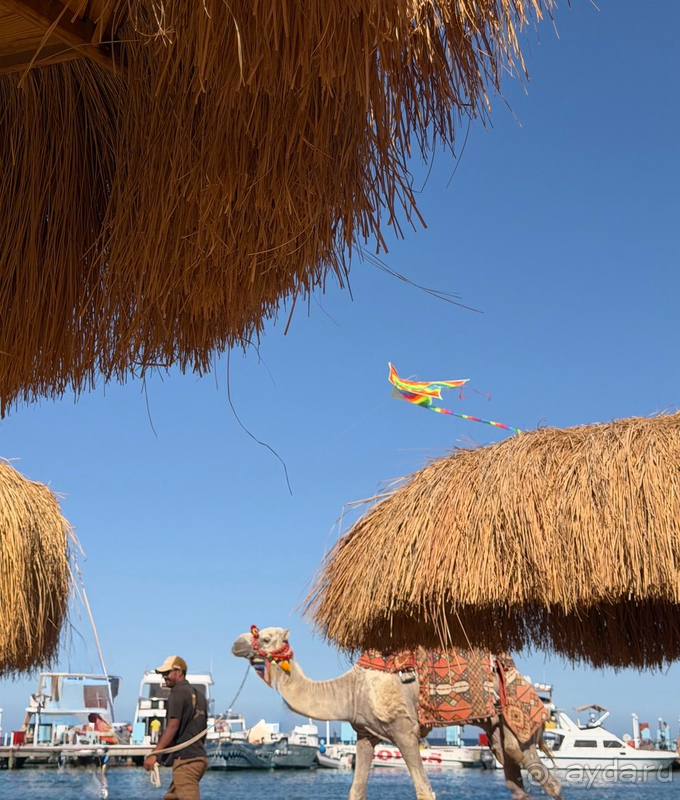 Отель Xanadu Makadi Bay в Хургаде