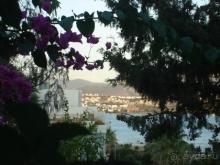 Вид из номера 3004