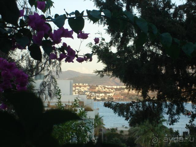 Вид из номера 3004