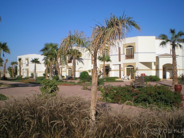 фото Amphoras Blu Hotel 