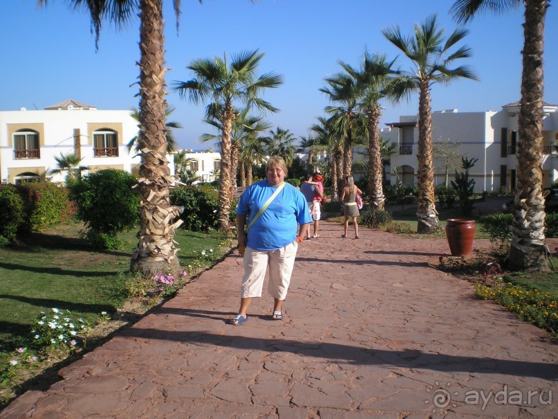 фото Amphoras Blu Hotel 