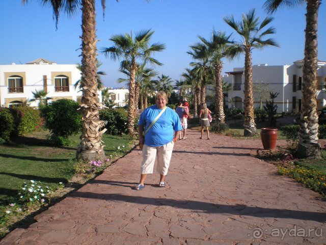 фото Amphoras Blu Hotel 