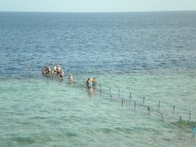 фото Royal Paradise Beach Resort