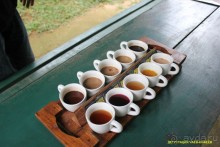 Альбом отзыва "Бали моими глазами"