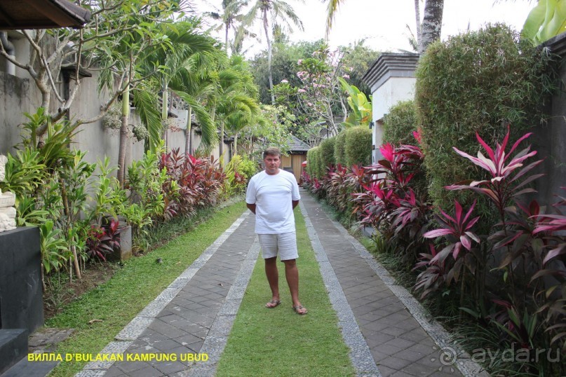 Бали моими глазами