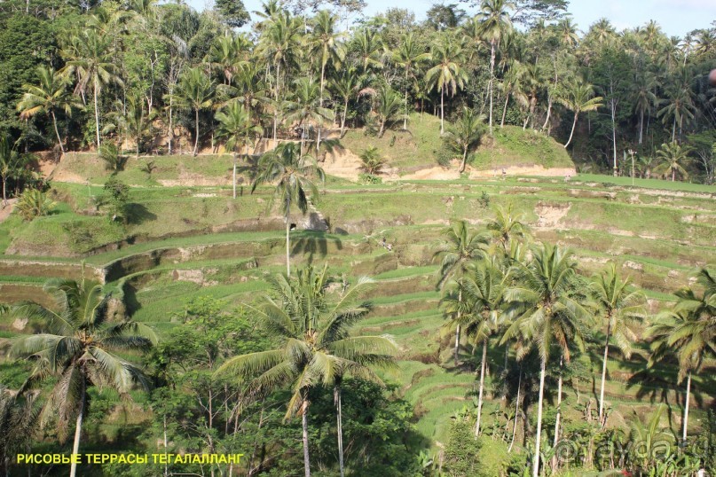 Бали моими глазами