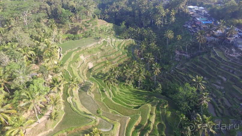 Бали моими глазами