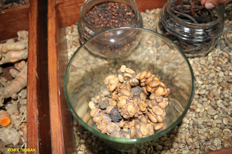 Бали моими глазами