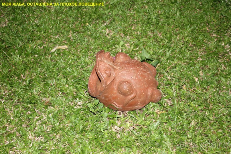 Бали моими глазами